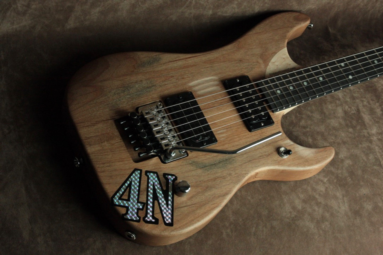 Washburn 4N USA Custom Order Stainless Frets 002