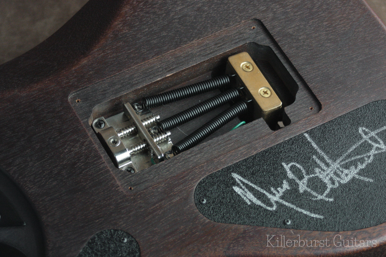 【希少】Washburn USA製 N4 DARK Washburn N4 Mahogany Limited - USA