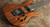 Ibanez S5520K Prestige Koa Brown Bonus Free T-Shirt and Snark HZ-1