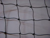 2" Mesh KW Blue Heron and Critter Protection Net 