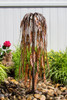 Blue Thumb Copper Short Weeping Willow Fountain Kit (FREE SHIPPING)