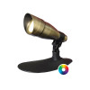Anjon Ignite Color Changing Brass Spotlight - 9 Watt