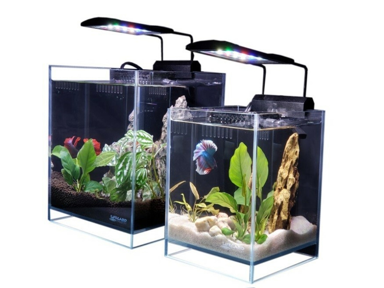 Aquarium Supplies