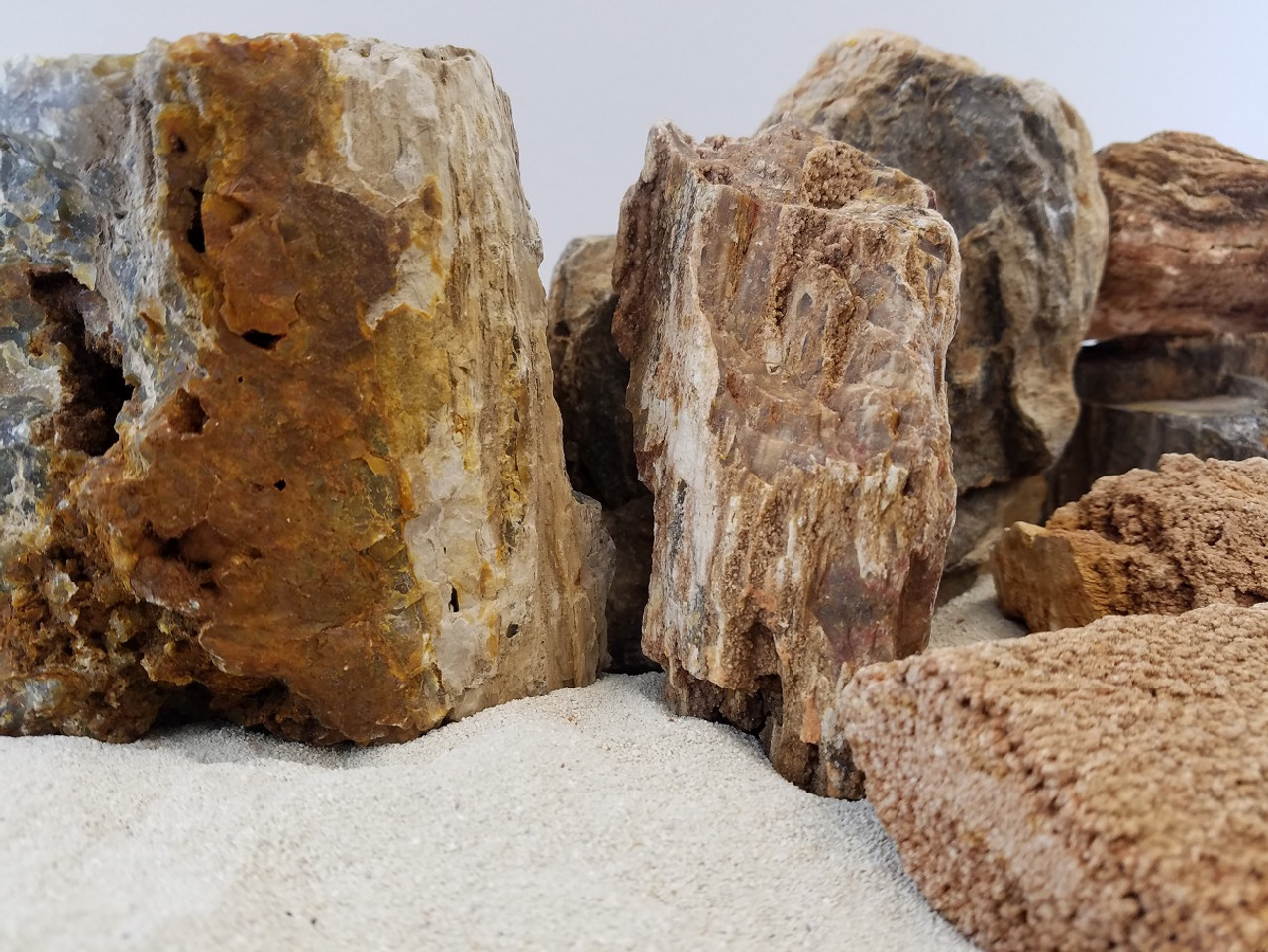 Lifegard Canyon Petrified Stone - 15 Lbs Mix Size Kit of Medium and Small Rocks
