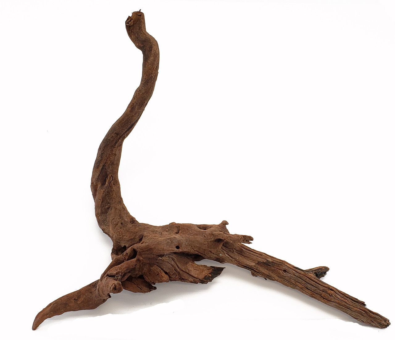 Lifegard Driftwood-Approximate Size 8"-15"