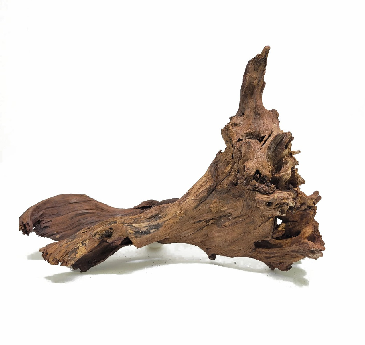 Lifegard Aquascaping Malaysian Driftwood - 12" to 20"