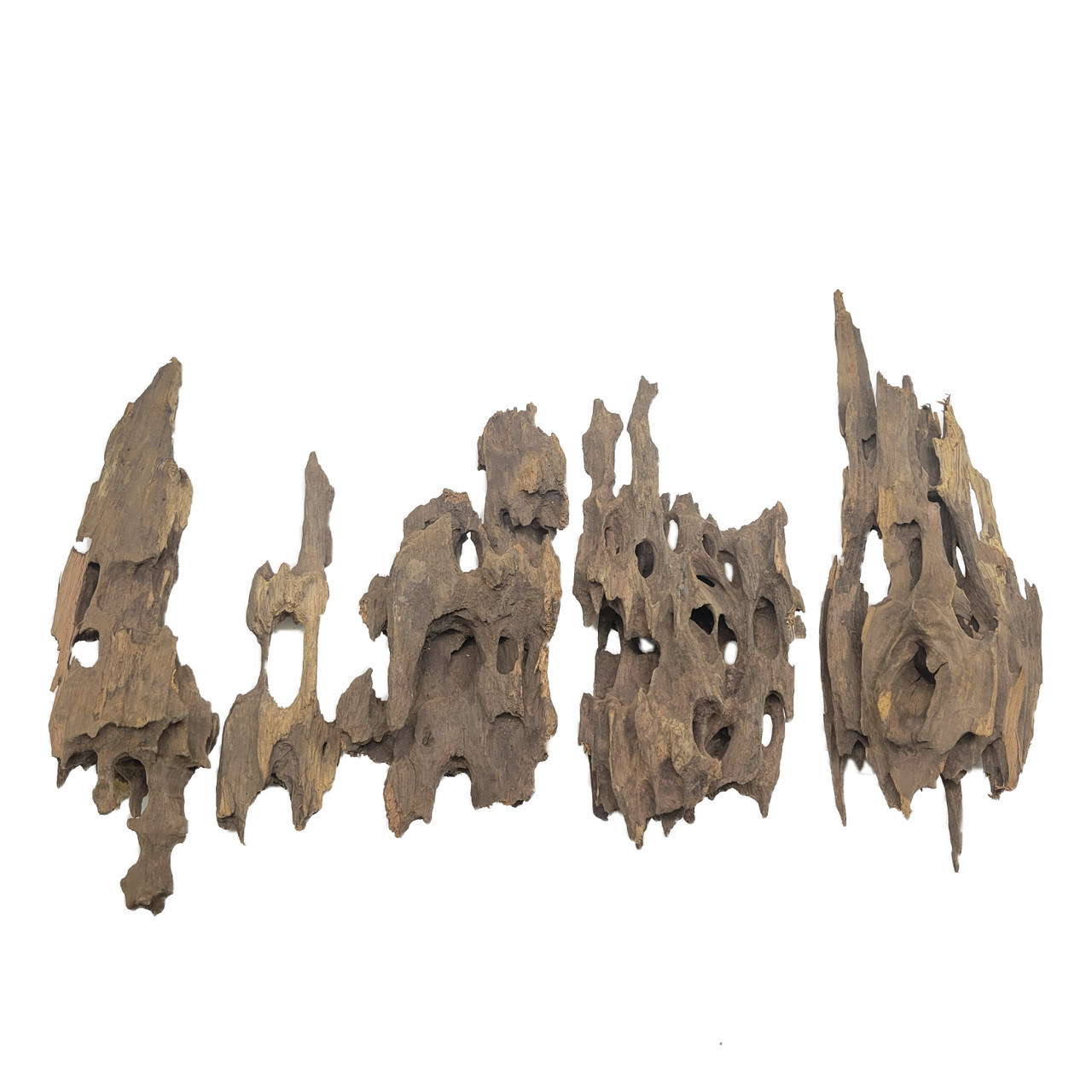 Lifegard Dragon Wood Pack - 4 to 6 Pieces 4" to 8"