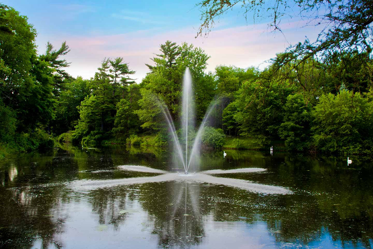 Scott Clover Bigshot Fountain