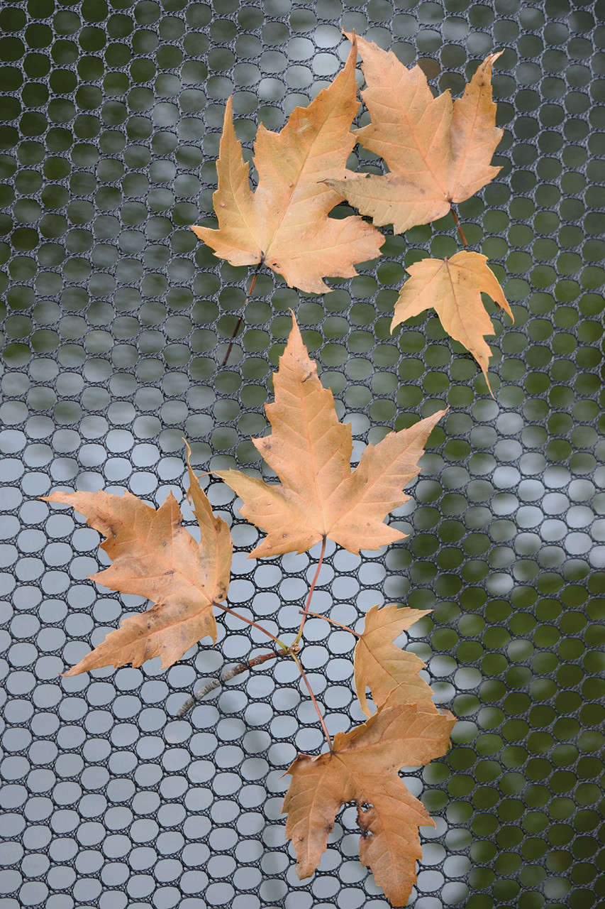 EasyPro Pond Cover Tents