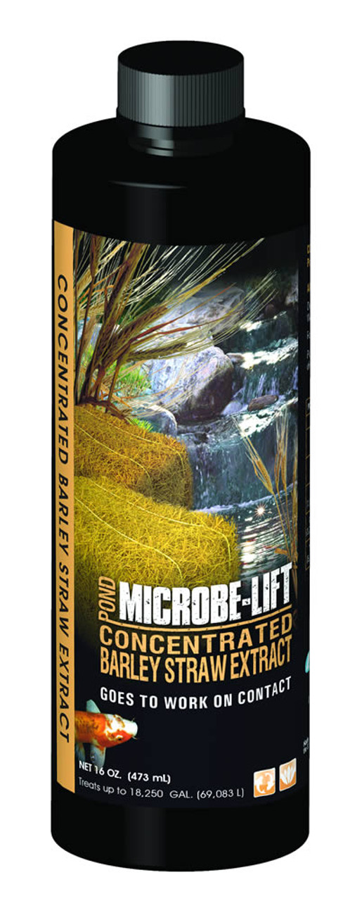 Microbe-Lift Concentrated Barley Straw Extract - 16 oz.