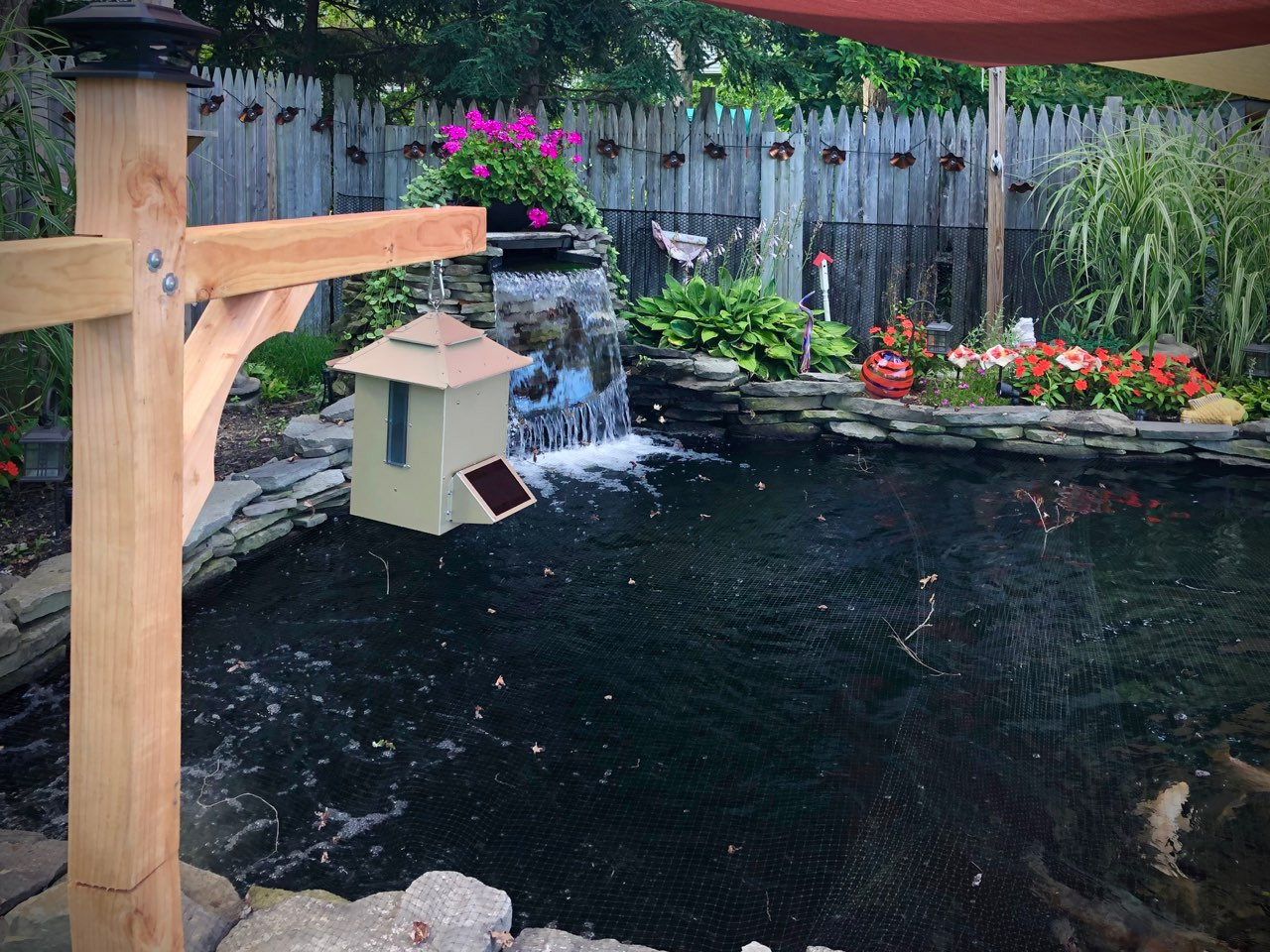 sweeney koi cafe automatic feeder