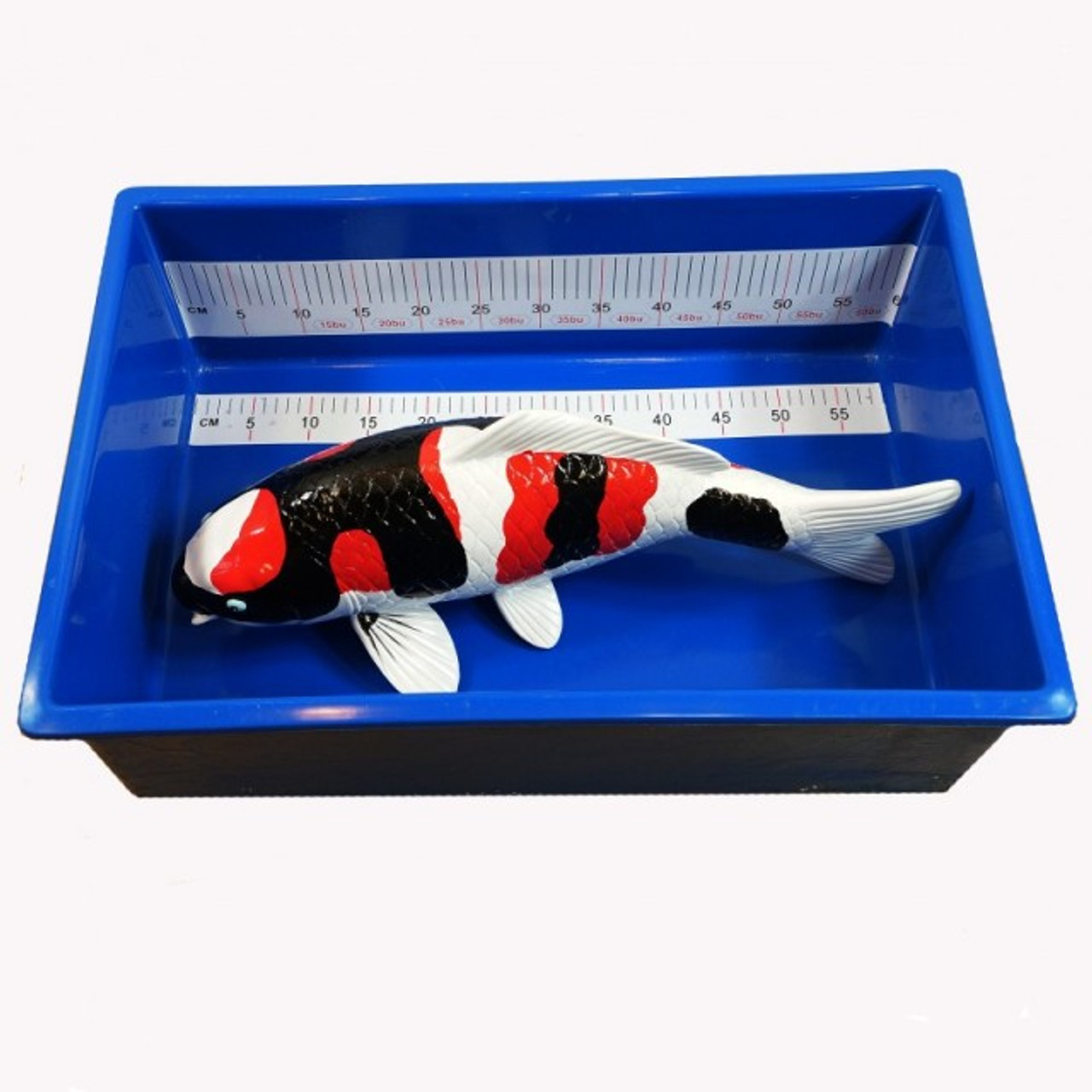 Koi Measuring Tank - 25"