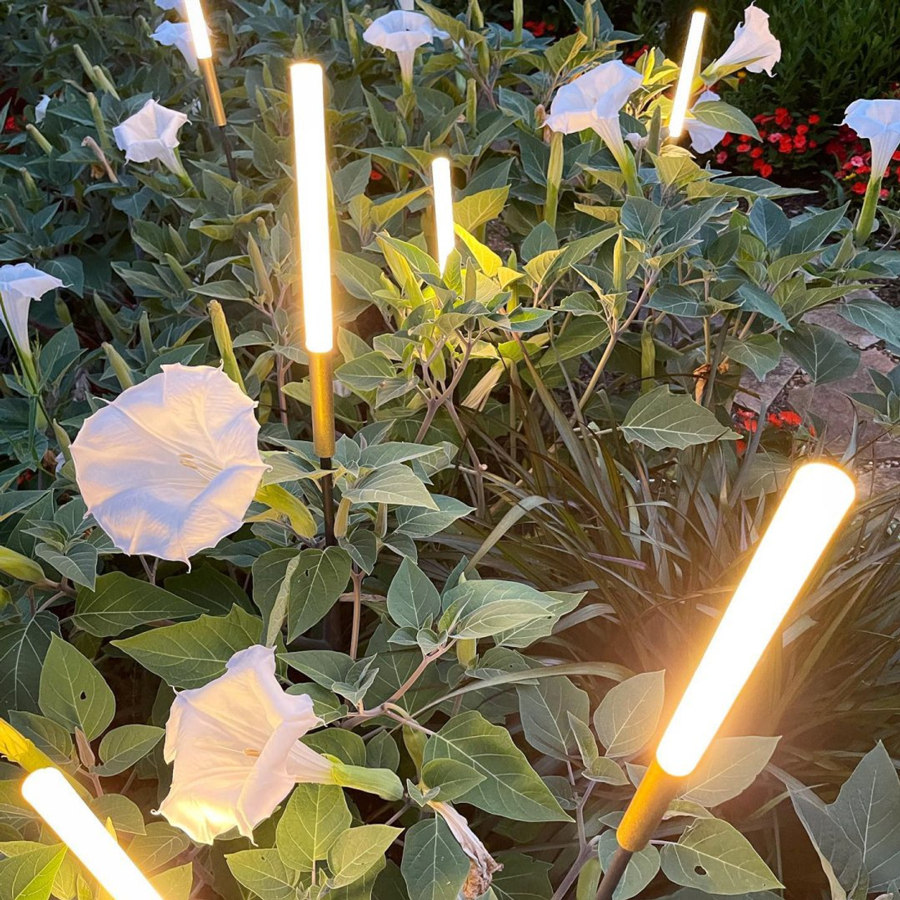 Source Lighting Bamboo Lights