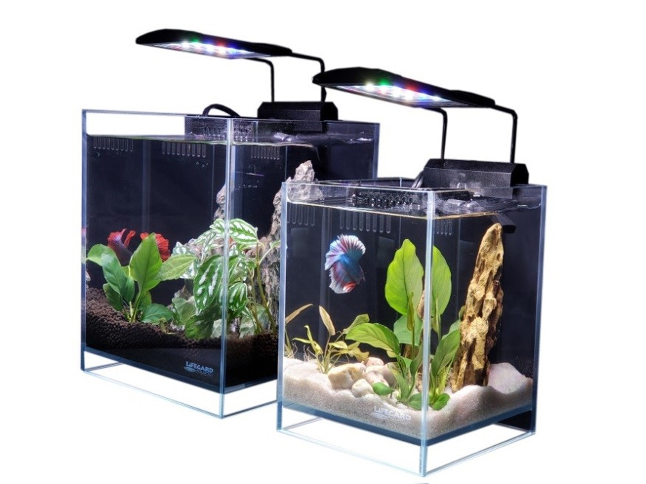 Lifegard Aquatics CRYSTAL Elevated Ultra Clear Betta Aquarium - 1.2 gal.