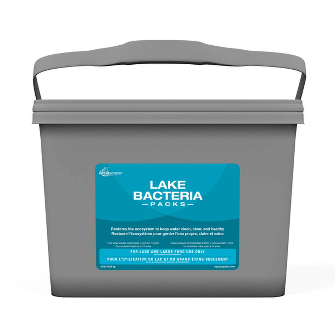 Bacteria
