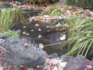 KW Pond Netting - TIPS