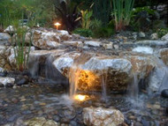 How To Systematically Find a Pond Leak
