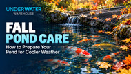 Fall Pond Care: How to Prepare Your Pond for Cooler Weather 