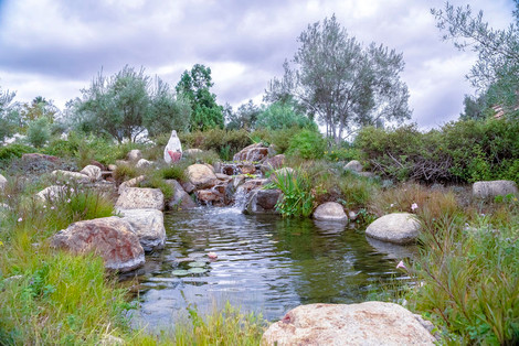 Do-It-Yourself Pond Kit During Quarantine