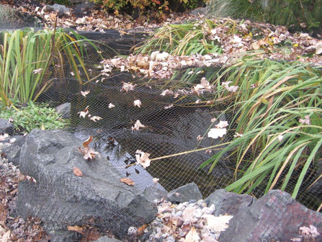 KW Pond Netting - TIPS