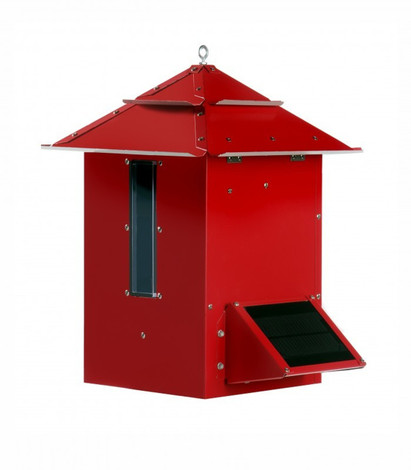 The Benefits of Having an Automatic Fish Feeder