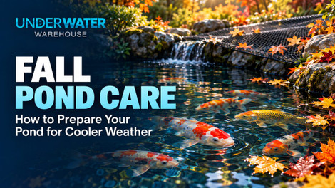 Fall Pond Care: How to Prepare Your Pond for Cooler Weather 