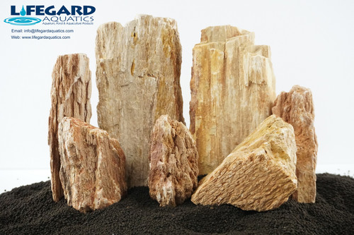 Lifegard Burma Petrified Stone - 15 Lbs Mix Size Kit of Medium and Small Rocks