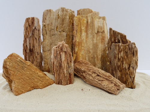 Lifegard Burma Petrified Stone - 25 Lbs Mix Size Kit Lifegard Burma Petrified Stone - 25 Lbs Mix Size Kit