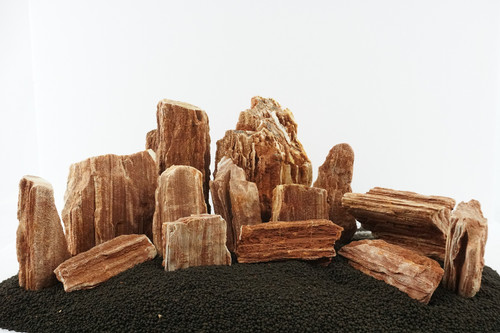 Lifegard Redwood Petrified Stone - 15 Lbs Mix Size Kit of Medium and Small Rocks