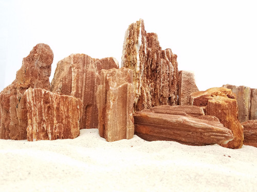 Lifegard Redwood Petrified - 25 Lbs Mix Size Kit of Large, Medium and Small Rocks