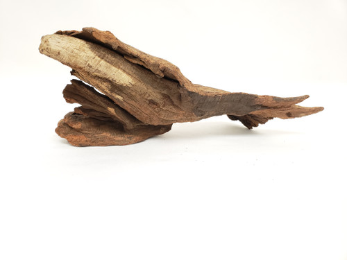 Lifegard Driftwood - Approximate Size 5"-8"