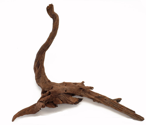 Lifegard Driftwood-Approximate Size 8"-15"