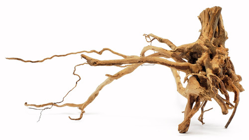 Lifegard Spider Wood/Cuckoo Root (Approximate Size 6"-12")