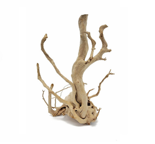 Lifegard Spider Wood/Cuckoo Root (Approximate Size 12"-23")