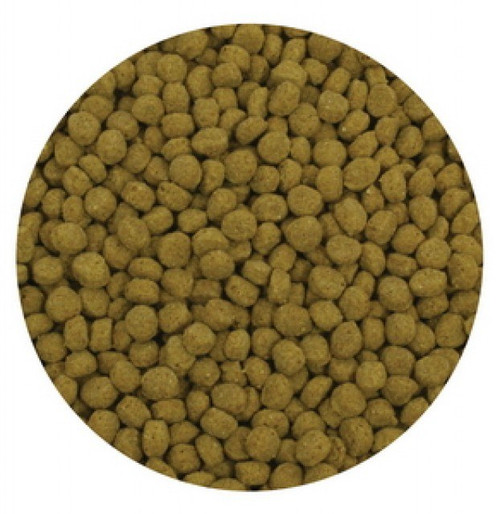 Aquascape Premium Cold Water Fish Food - Large Pellet - 44 lbs.