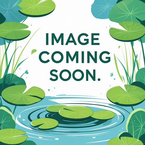 Motor Assembly, AFC, Auger Side