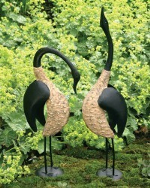 Geese and Ducks