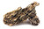 Lifegard Dragon Ohko Rock - 15 Lbs Mix Size Kit of Medium and Small Rocks