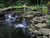 EasyBog Pond Filter Kit - 5,000 gal by EasyPro EasyBog Pond Filter Kit - 5,000 gal by EasyPro