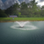 Aerify 1HP Solar Floating Fountain 