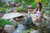 Aquascape Pond Foam Free