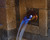Atlantic Copper Finish Olivett Wall Spout