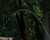 Atlantic Directional Jet Nozzle - 1" FPT