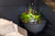 Aquascape AquaGarden Plant Light