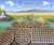 Floating Islands West IPO 300/350 Biohaven Floating Island - 15 Sq Ft.