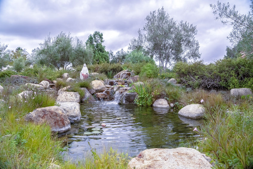 DoItYourself Pond Kit During Quarantine Underwater Warehouse