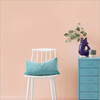 Peinture Murs & Plafonds - Corail