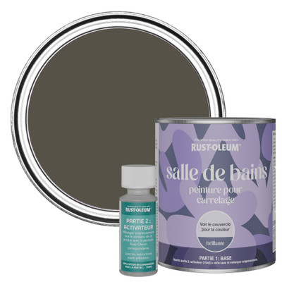 Peinture pour Carrelage de Salle de Bain, Finition Brillante - Brun Terre 750ml