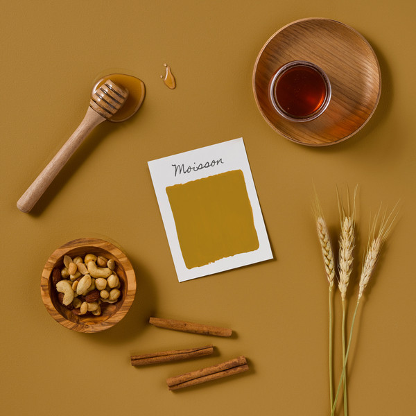 Peinture pour Sols Carrelés Mate Lessivable - Moisson