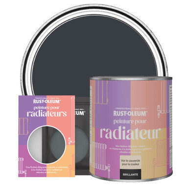 Peinture pour Radiateur, Finition Brillante - Anthracite (RAL 7016)
